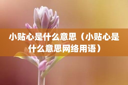 小贴心是什么意思（小贴心是什么意思网络用语）