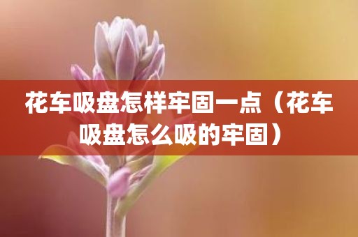 花车吸盘怎样牢固一点（花车吸盘怎么吸的牢固）