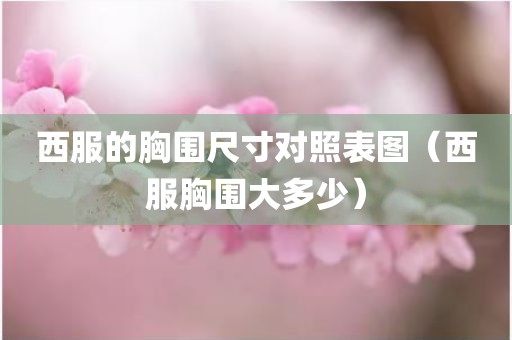 西服的胸围尺寸对照表图（西服胸围大多少）