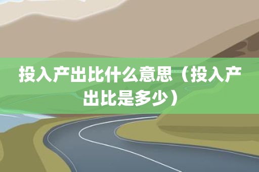 投入产出比什么意思（投入产出比是多少）