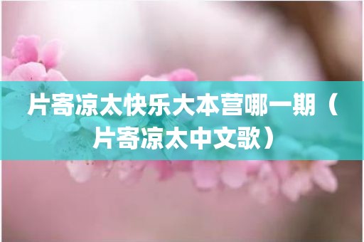 片寄凉太快乐大本营哪一期（片寄凉太中文歌）