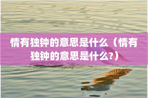 情有独钟的意思是什么（情有独钟的意思是什么?）