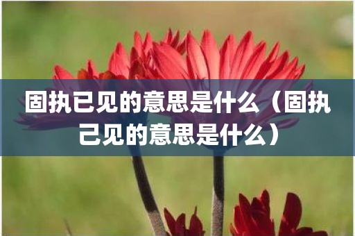 固执已见的意思是什么（固执己见的意思是什么）