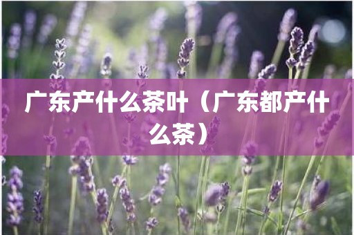 广东产什么茶叶（广东都产什么茶）