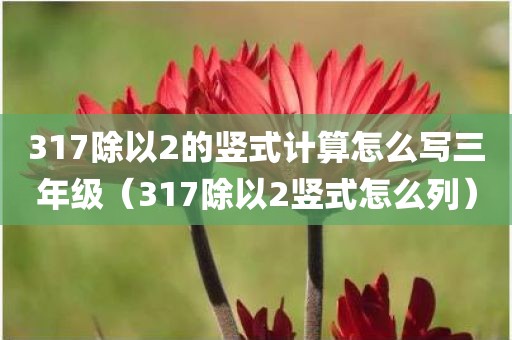 317除以2的竖式计算怎么写三年级(317除以2竖式怎么列)
