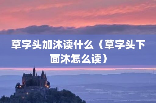 草字头加沐读什么（草字头下面沐怎么读）