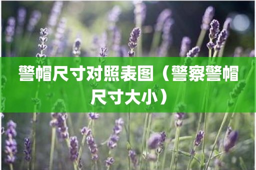 警帽尺寸对照表图（警察警帽尺寸大小）