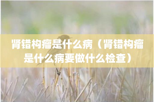 肾错构瘤是什么病（肾错构瘤是什么病要做什么检查）