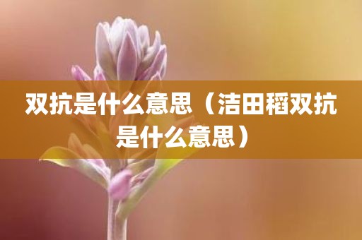 双抗是什么意思（洁田稻双抗是什么意思）