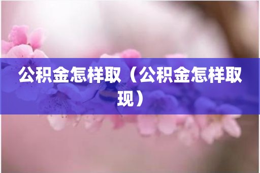 公积金怎样取（公积金怎样取现）