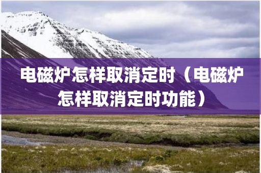 电磁炉怎样取消定时（电磁炉怎样取消定时功能）