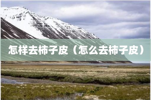 怎样去柿子皮（怎么去柿子皮）