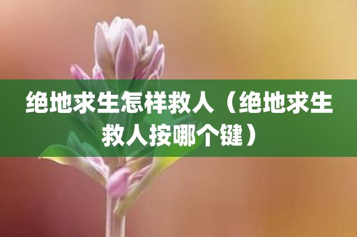 绝地求生怎样救人（绝地求生救人按哪个键）