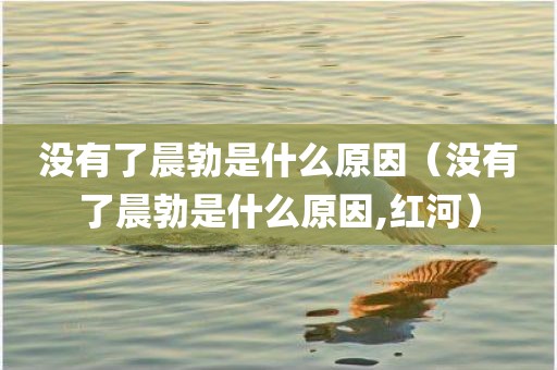 没有了晨勃是什么原因（没有了晨勃是什么原因,红河）