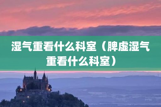 湿气重看什么科室（脾虚湿气重看什么科室）