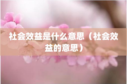 社会效益是什么意思(社会效益的意思)