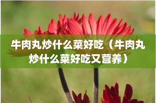 牛肉丸炒什么菜好吃（牛肉丸炒什么菜好吃又营养）