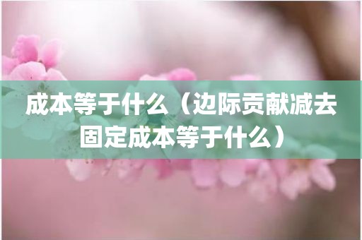 成本等于什么(边际贡献减去固定成本等于什么)