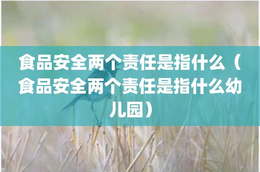 食品安全两个责任是指什么（食品安全两个责任是指什么幼儿园）