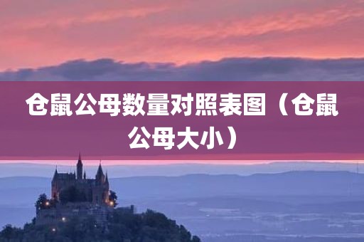 仓鼠公母数量对照表图（仓鼠公母大小）