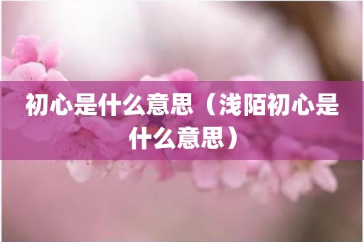 初心是什么意思（浅陌初心是什么意思）