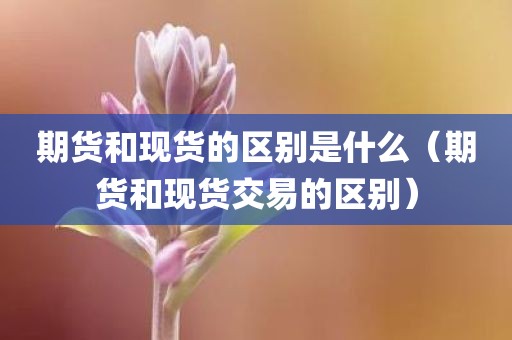 期货和现货的区别是什么（期货和现货交易的区别）