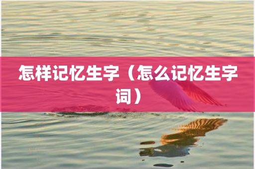怎样记忆生字（怎么记忆生字词）