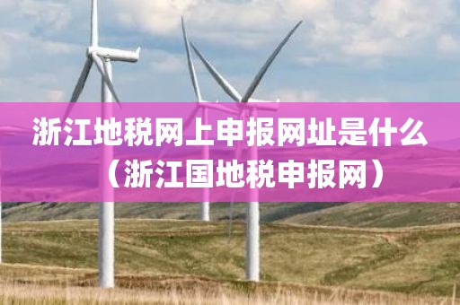 浙江地税网上申报网址是什么（浙江国地税申报网）