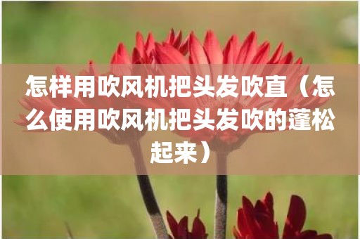 怎样用吹风机把头发吹直（怎么使用吹风机把头发吹的蓬松起来）