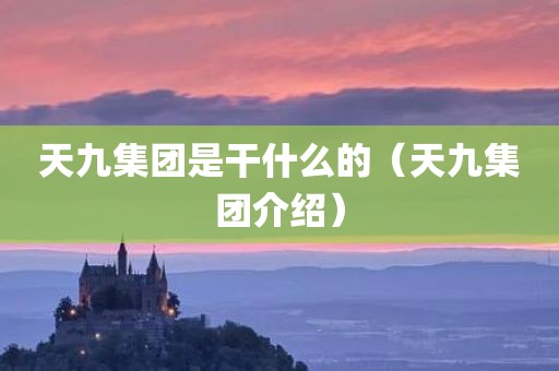 天九集团是干什么的（天九集团介绍）