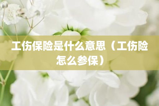 工伤保险是什么意思（工伤险怎么参保）