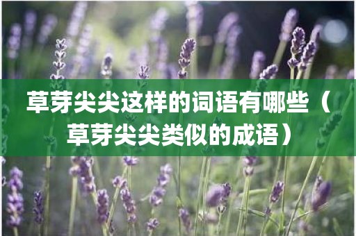 草芽尖尖这样的词语有哪些（草芽尖尖类似的成语）
