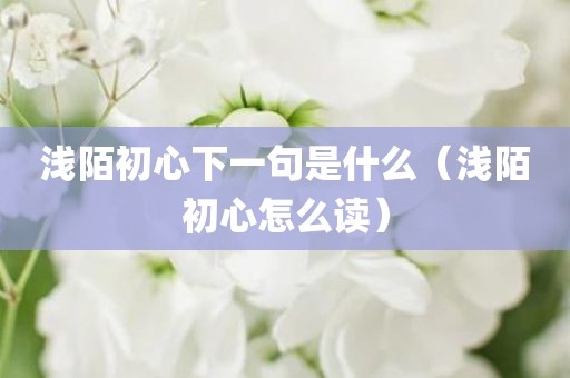 浅陌初心下一句是什么（浅陌初心怎么读）