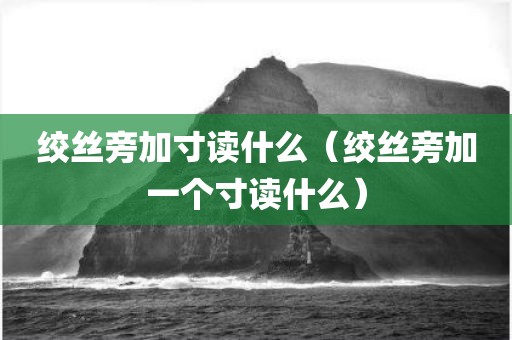 绞丝旁加寸读什么（绞丝旁加一个寸读什么）