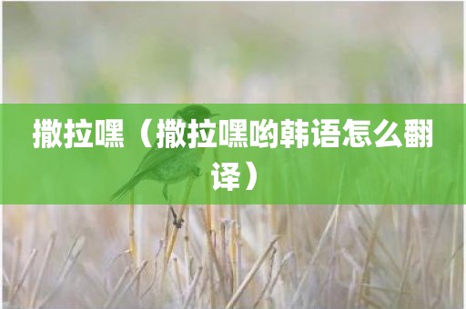 撒拉嘿（撒拉嘿哟韩语怎么翻译）