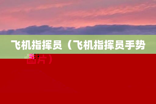 飞机指挥员（飞机指挥员手势图片）