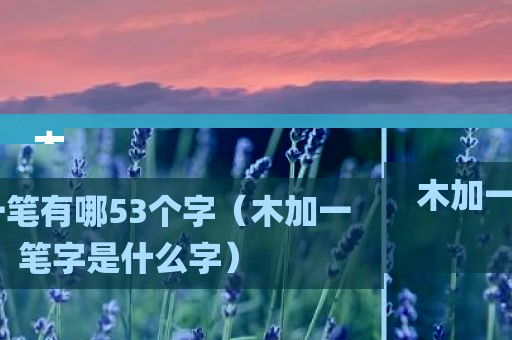 木加一笔有哪53个字（木加一笔字是什么字）