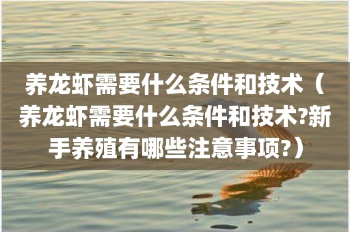 养龙虾需要什么条件和技术（养龙虾需要什么条件和技术?新手养殖有哪些注意事项?）