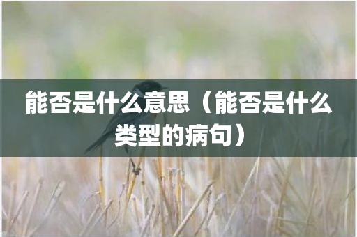 能否是什么意思(能否是什么类型的病句)