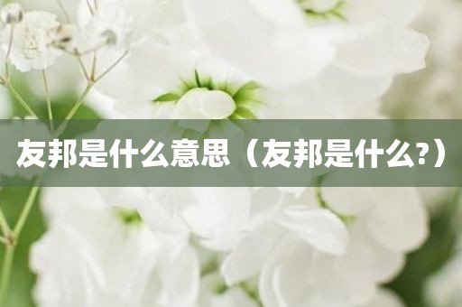 友邦是什么意思（友邦是什么?）