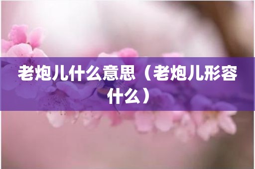 老炮儿什么意思（老炮儿形容什么）