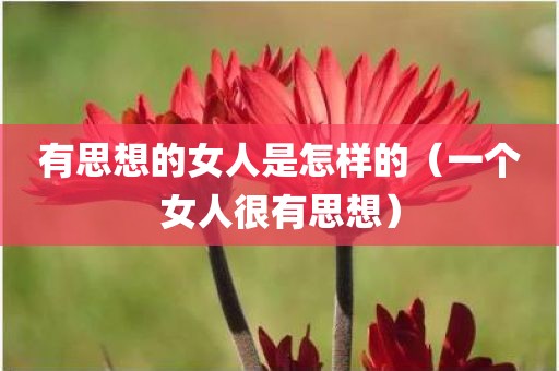 有思想的女人是怎样的（一个女人很有思想）