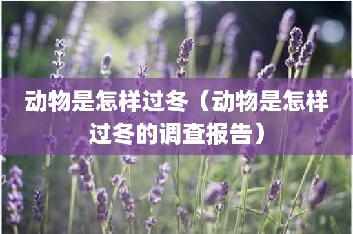 动物是怎样过冬（动物是怎样过冬的调查报告）