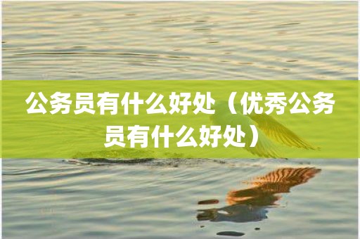 公务员有什么好处（优秀公务员有什么好处）