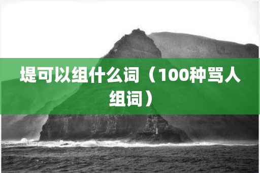 堤可以组什么词（100种骂人组词）