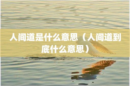人间道是什么意思（人间道到底什么意思）