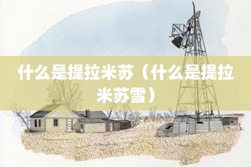 什么是提拉米苏（什么是提拉米苏雪）