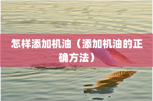 怎样添加机油（添加机油的正确方法）