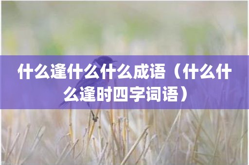 什么逢什么什么成语（什么什么逢时四字词语）