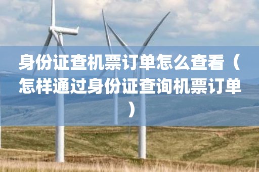 身份证查机票订单怎么查看（怎样通过身份证查询机票订单）